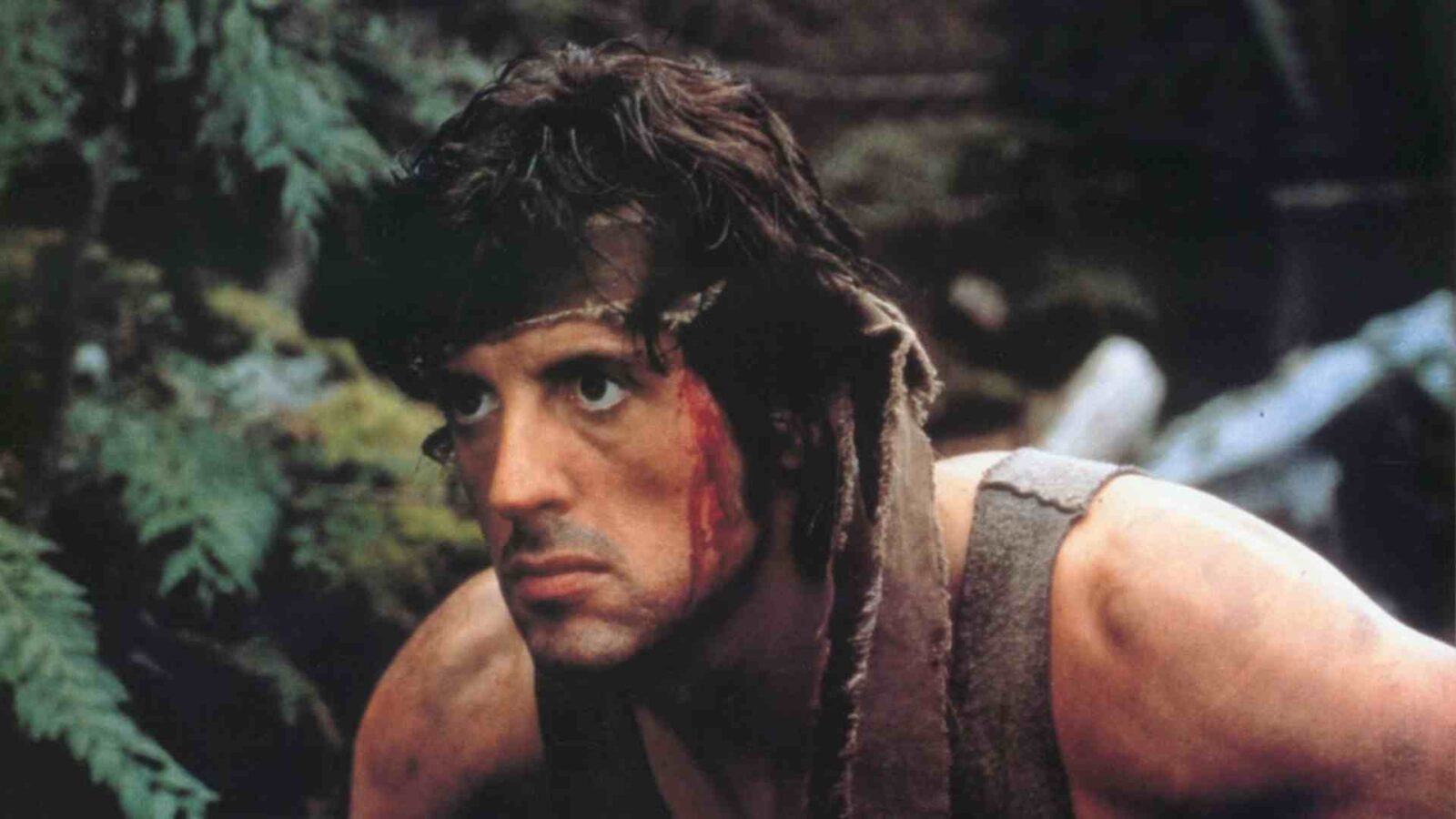 Rambo, First Blood, Sylvester Satallone