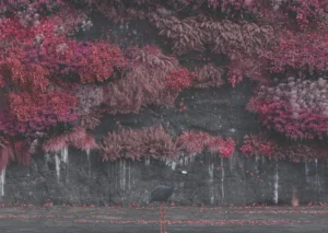 Sleep Token: Even In Arcadia | Album Review