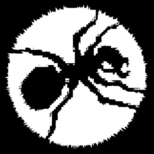 Image hover effect image
