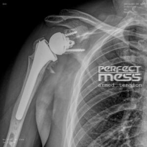 Perfect Mess: Armed Tension | Album Review
