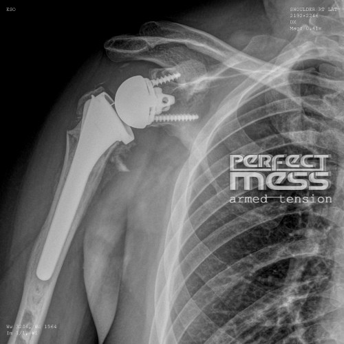 Perfect Mess: Armed Tension | Album Review