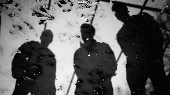 Sidus: Lotus | Album Review